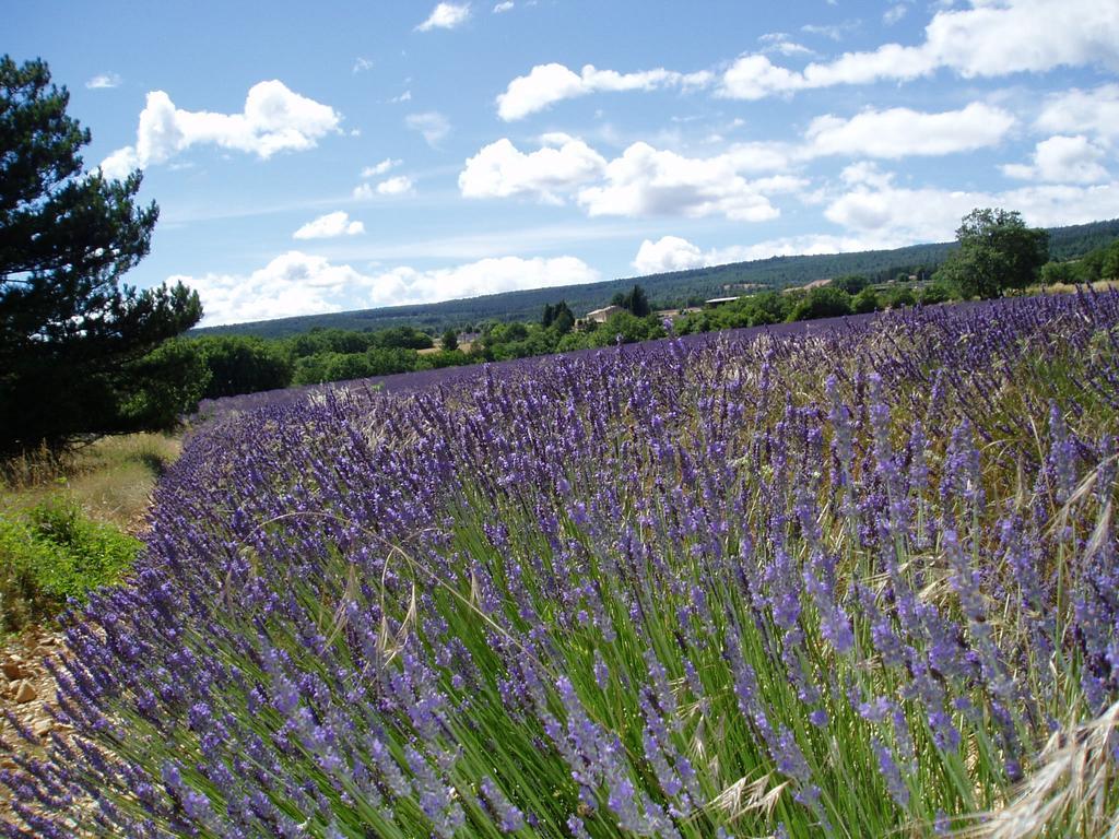 Bed and Breakfast Le Grangeon Cruis Экстерьер фото