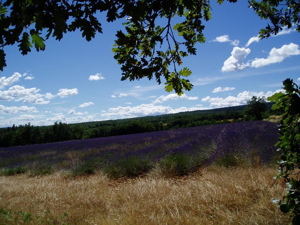 Bed and Breakfast Le Grangeon Cruis Экстерьер фото