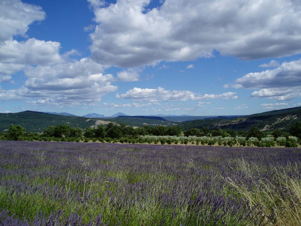 Bed and Breakfast Le Grangeon Cruis Экстерьер фото